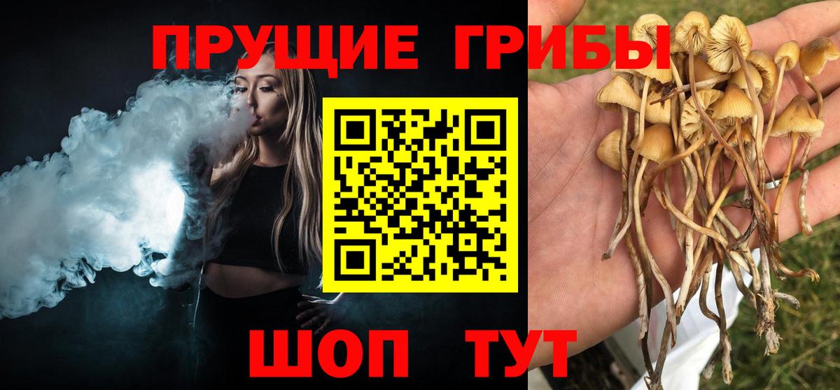 Псилоцибиновые грибы Cubensis Геленджик