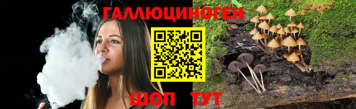 Галлюциногенные грибы Magic Shrooms  Вход с VPN  Геленджик 