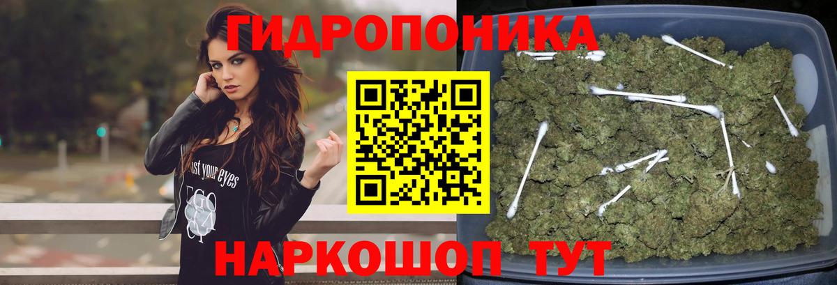 Бошки марихуана Ganja Геленджик